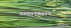 蒜苔包饺子用焯水吗