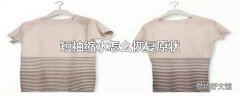 短袖缩水怎么恢复原状