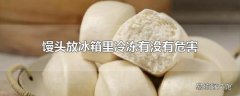 馒头放冰箱里冷冻有没有危害