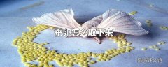 蚕卵怎么取下来