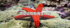 哪些动物有再生功能