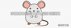 家里进老鼠怎么办才能快速驱赶