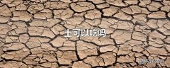 土可以吃吗