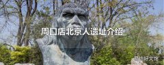 周口店北京人遗址介绍