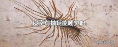 寝室有蚰蜒能睡觉吗