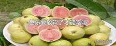 芭乐要放软了才能吃吗