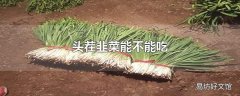 头茬韭菜能不能吃