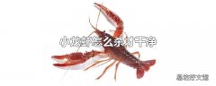 小龙虾怎么杀才干净