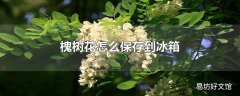 槐树花怎么保存到冰箱