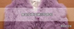 兔毛皮草变硬回软妙招