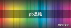 pb是啥