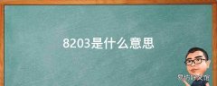 8203是什么意思