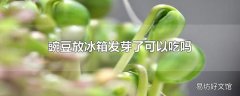 豌豆放冰箱发芽了可以吃吗