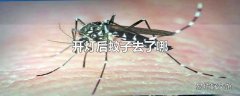 开灯后蚊子去了哪