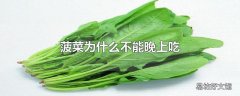 菠菜为什么不能晚上吃