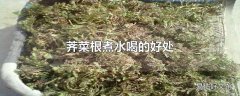 荠菜根煮水喝的好处