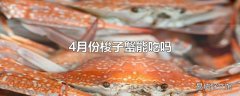 4月份梭子蟹能吃吗