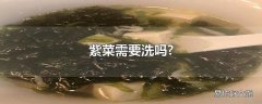 紫菜需要洗吗?