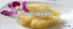 菠萝可以放冰箱吗