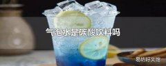 气泡水是碳酸饮料吗