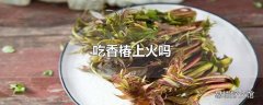 吃香椿上火吗