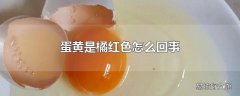 蛋黄是橘红色怎么回事