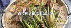 香椿炒之前需要焯水吗