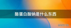 酪蛋白酸钠是什么东西