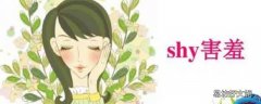 shylie是什么寓意