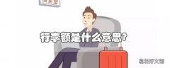 行李额是什么意思?