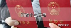 闪婚什么意思
