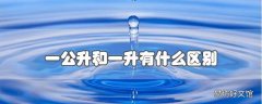 一公升和一升有什么区别