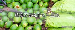 槟榔不能和什么一起吃