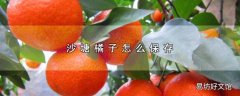 沙塘橘子怎么保存