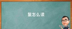 鬣怎么读