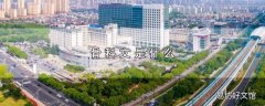 骨科文是什么