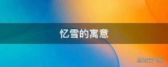 忆雪的寓意