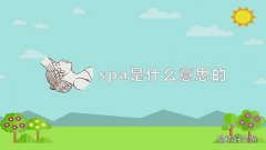 spa是什么意思的