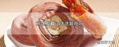 柿饼发霉了洗洗能吃吗
