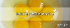 鸡蛋里面白色的东西是什么