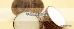 芋头是根还是茎