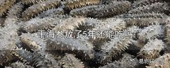 干海参放了5年还能吃吗