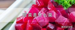 甜菜是什么菜