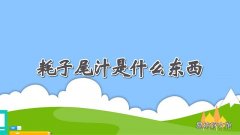 耗子尾汁是什么东西