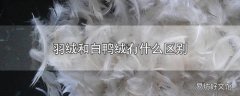 羽绒和白鸭绒有什么区别