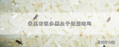 米里有很多黑虫子还能吃吗