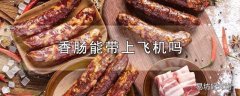 香肠能带上飞机吗