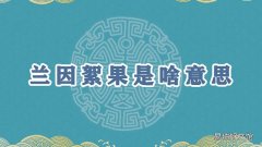 兰因絮果是啥意思