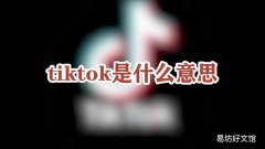 tiktok是什么意思
