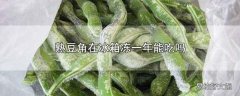 熟豆角在冰箱冻一年能吃吗